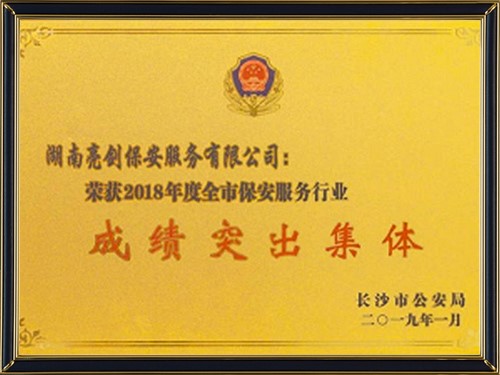 安全保衛(wèi)成績突出集體2018年度