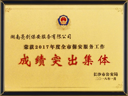 安全保衛(wèi)成績突出集體2017年度