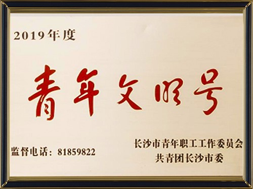 共青團(tuán)長(zhǎng)沙市委2019年度青年文明號(hào)